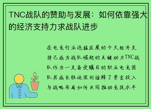 TNC战队的赞助与发展：如何依靠强大的经济支持力求战队进步