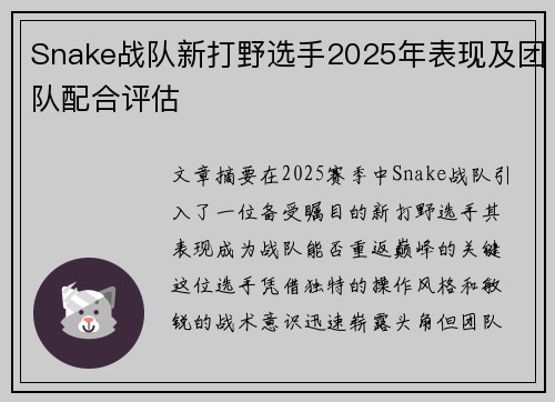 Snake战队新打野选手2025年表现及团队配合评估