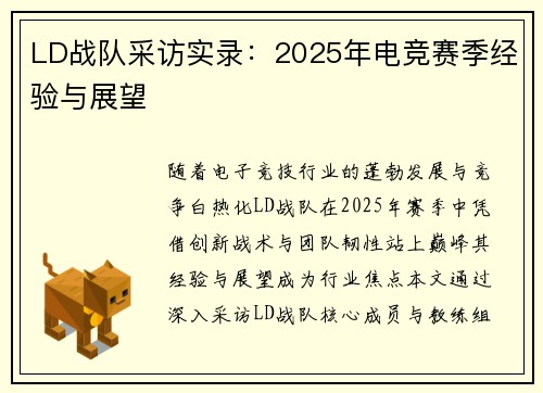 LD战队采访实录：2025年电竞赛季经验与展望